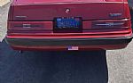 1983 Thunderbird Thumbnail 6
