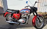 1963 650 Royal Star Thumbnail 22