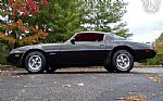 1981 Firebird Thumbnail 8