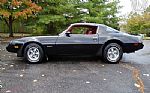 1981 Firebird Thumbnail 7