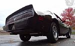 1981 Firebird Thumbnail 17