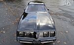 1981 Firebird Thumbnail 24