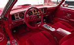 1979 Firebird Trans Am Thumbnail 4