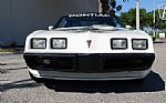 1981 Trans Am Daytona Pace Car Thumbnail 3