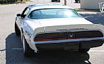 1981 Trans Am Daytona Pace Car Thumbnail 16