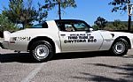 1981 Trans Am Daytona Pace Car Thumbnail 19
