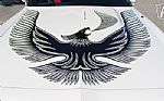 1981 Trans Am Daytona Pace Car Thumbnail 28