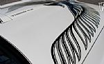 1981 Trans Am Daytona Pace Car Thumbnail 46