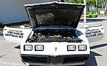1981 Trans Am Daytona Pace Car Thumbnail 66