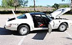 1981 Trans Am Daytona Pace Car Thumbnail 73