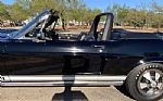 1968 GT350 Thumbnail 16