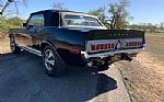 1968 GT350 Thumbnail 79