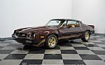 1981 Camaro Z28 Thumbnail 6