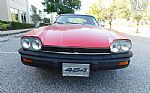 1977 XJS Thumbnail 42