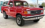 1989 Bronco Thumbnail 4