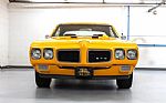 1970 GTO Tribute Thumbnail 4