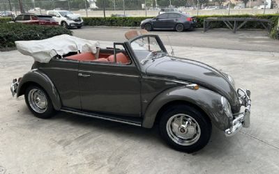 Photo of a 1964 Volkswagen Beetle Convertible for sale
