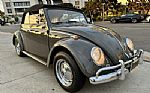 1964 Beetle Thumbnail 2