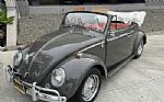 1964 Beetle Thumbnail 3