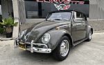 1964 Beetle Thumbnail 4