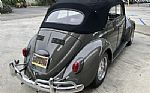 1964 Beetle Thumbnail 10
