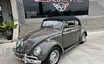 1964 Beetle Thumbnail 17