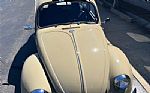1971 Beetle Thumbnail 5