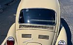 1971 Beetle Thumbnail 10
