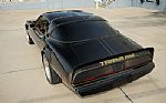 1980 Firebird Trans-Am WS6 Y84 Band Thumbnail 8