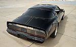 1980 Firebird Trans-Am WS6 Y84 Band Thumbnail 14