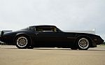 1980 Firebird Trans-Am WS6 Y84 Band Thumbnail 19