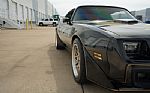 1980 Firebird Trans-Am WS6 Y84 Band Thumbnail 33