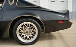 1980 Firebird Trans-Am WS6 Y84 Band Thumbnail 37