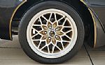 1980 Firebird Trans-Am WS6 Y84 Band Thumbnail 40