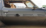 1980 Firebird Trans-Am WS6 Y84 Band Thumbnail 41
