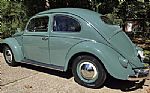 1956 Beetle Thumbnail 2