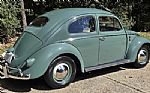 1956 Beetle Thumbnail 3