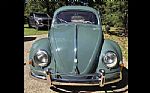 1956 Beetle Thumbnail 7