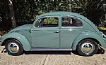 1956 Beetle Thumbnail 5