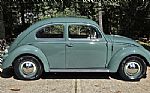 1956 Beetle Thumbnail 6