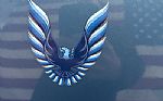 1979 Firebird Thumbnail 18