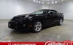1999 Firebird Trans-Am Thumbnail 1