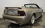 2001 Mustang Cobra SVT Convertible Thumbnail 12