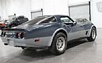 1981 Corvette Thumbnail 15