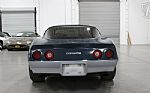 1981 Corvette Thumbnail 14