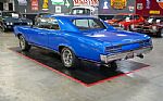 1967 GTO Thumbnail 4