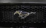 2019 Mustang GT Thumbnail 28