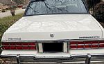 1985 Parisienne Thumbnail 9