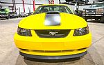 2004 Mustang Mach 1 Thumbnail 13