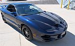 2002 Firehawk Thumbnail 20